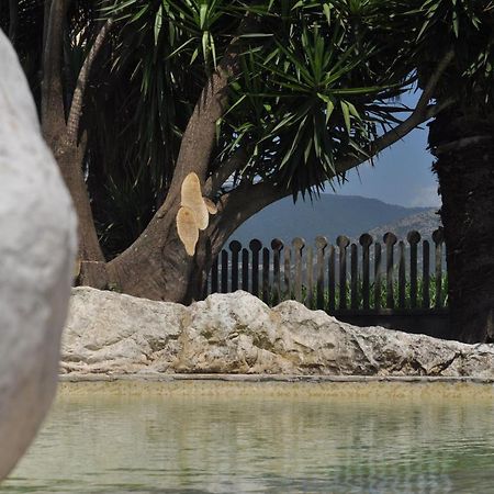 B&B Levante Paestum Mattine Zewnętrze zdjęcie